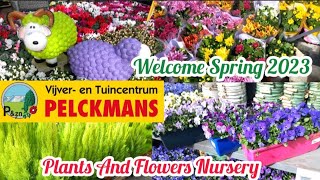 2023 Plant Haul amp Nursery TourPelckmans TurnhoutPlants amp Flowers Nursery TourSpring🌷 Plants Haul [upl. by Earahc]