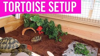 NEW Setting Up My Tortoise Enclosure  DIY Tortoise Table House [upl. by Christine]