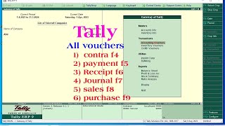 tally voucher entry  vouchers in tally  voucher entry in tally  tally voucher  tally erp 9 [upl. by Rego]