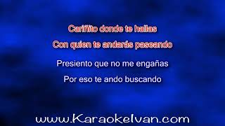 Banda Zorro  Caminos de Michoacan KARAOKE [upl. by Alahsal122]