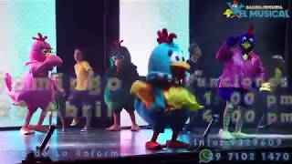 Spot Gallina Pintadita El Musical Veracruz [upl. by Ynnaf419]