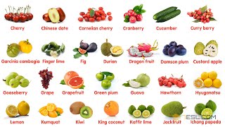 Fruit Names in English [upl. by Ayanad491]