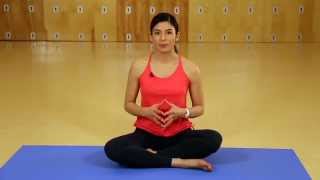 Does Yoga Reduce Your Resting Heart Rate [upl. by Bui]