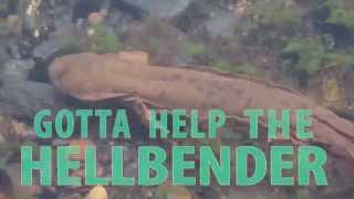 Help the Hellbender [upl. by Bellis]