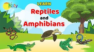 Reptiles Names For kids in English  Learn Reptiles and Amphibians for Children  Amphibians Names [upl. by Balfour]