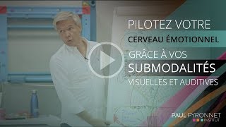 Piloter votre cerveau émotionnel grâce à vos submodalités visuelles et auditives [upl. by Sylado]