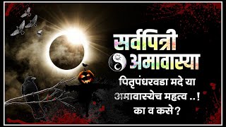 सर्वपित्री अमावस्या म्हणजे काय  पितृपक्ष महत्व  marathi Sarvapitri Amavasya BolBhidu Lyfstory29 [upl. by Naghem]