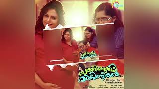 Veyil Chilla  Zachariyayude Garbhinikal  Movie  Vishnu  Vishnu Sharath  Malayalam Hits [upl. by Barri]