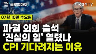 🔴0710 당잠사 파월이 찍은 방점  SampP500 ·나스닥 신고가  9월 인하 기대 ▲  엔비디아 목표가 180달러  머스크가 올린 태극기  일라이 VS 노보노 [upl. by Nunci]