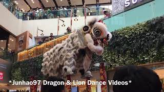 新加坡腾陽龍獅體育會 Teng Yang Lion Dance High Poles Performance at The Seletar Mall 30 Jan 2020 [upl. by Uta512]