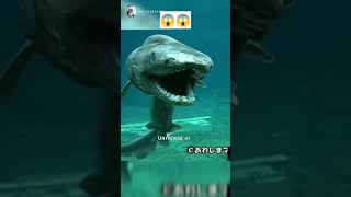 Extinct animals caught on Camera animals fish [upl. by Weiler997]