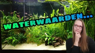 WATERWAARDEN in het AQUARIUM BEGRIJPEN Nickey [upl. by Illyes685]