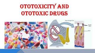 Ototoxicity and Ototoxic Drugs  a Short Overview [upl. by Marler]