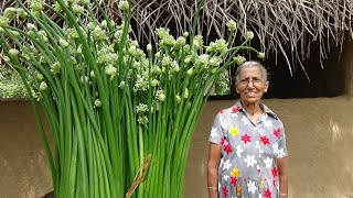 Village Food ❤ Spring Onion flower Recipe by Grandma  Village Life [upl. by Adnic427]