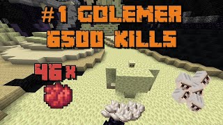 6500 Golem Kills  Hypixel Skyblock  Money making method [upl. by Eul]