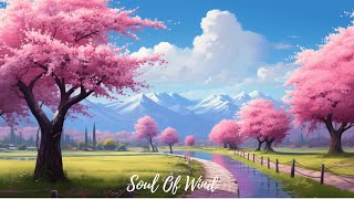 Healing Soundscapes How Soothing Music Can Transform Your Mood and Wellbeing [upl. by Solohcin]