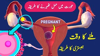 Sperm Egg Fertilization Process Pregnancy kaise Hoti Hai Pregnancy Ovulation Implantation [upl. by Daisy721]