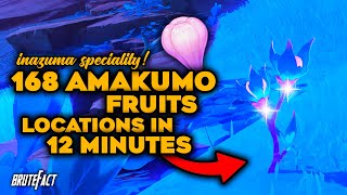 Amakumo Fruits Locations  Fast Farming Route  Raiden Shogun Ascension Material  Genshin Impact [upl. by Assilim797]