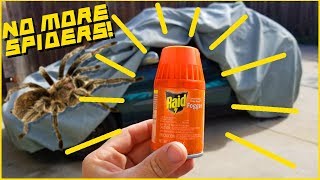 How to Get Rid of Bugs in Your Car  Easy and Cheap [upl. by Ordnaxela]