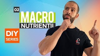 Macronutrientii  Proteine Grasimi si Carbohidrati  DIY Series  Ep02 [upl. by Aikan]