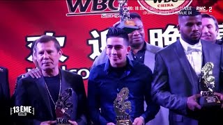 WBA IBF WBO WBC  tout ce quil faut savoir sur les différentes fédérations de boxe [upl. by Sheba]