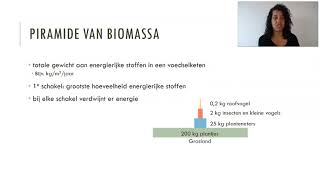 Voedselpiramides [upl. by Stanwood]