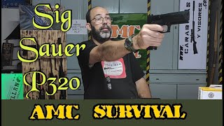 Sig Sauer P320 Co2 Pellets Pistol Blowback [upl. by Oiuqise261]