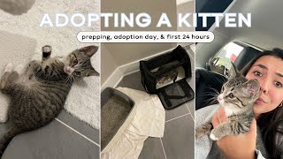 I ADOPTED A KITTEN prepping adoption first 24 hrs [upl. by Strang]