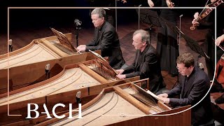 Bach  Concerto for three harpsichords in D minor BWV 1063  Mortensen  Netherlands Bach Society [upl. by Ennaeed]