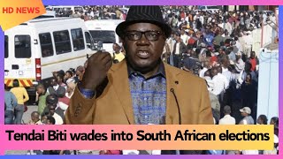 Tendai Biti wades into South African elections [upl. by Stefanac]