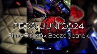 PÉCSI JUNI 2024  PIROS RÓZSÁK BESZÉLGETNEK [upl. by Dnomso]