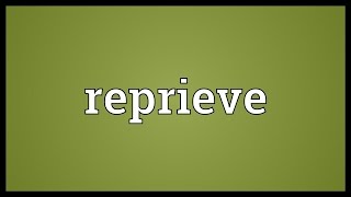 Reprieve Meaning [upl. by Yenwat]