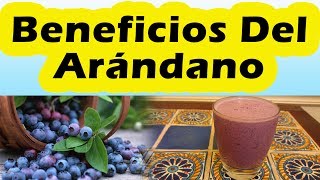 Mira Lo Que Te Pasa Si Comes Arandanos De Forma Regular BENEFICIOS DEL ARANDANO y Sus Propiedades [upl. by Ranchod806]