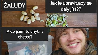 ŽALUDY JAKO NOUZOVÉ JÍDLO  JAK JE UPRAVIT  SURVIVAL FOOD [upl. by Acinod]