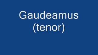 Gaudeamus tenor [upl. by Garibull797]