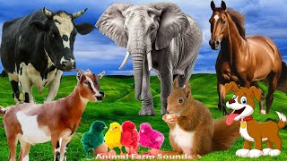 Sounds Of Familiar Farm Animals Duck Cow Horse Chicken Cat Elephant  Animal Sounds [upl. by Ahcsim]