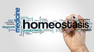 The Importance of Homeostasis [upl. by Shyamal]