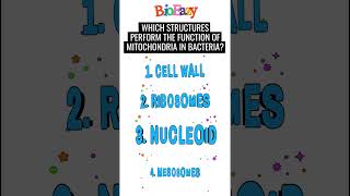 Which structures perform the function of mitochondria in bacteriaMesosomesnucleoidamitsirbioeazy [upl. by Tyrone]