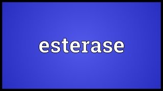 Esterase Meaning [upl. by Akiehs]