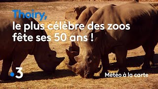 Thoiry le plus célèbre des zoos fête ses 50 ans   Météo à la carte [upl. by Skardol]