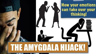 The Amygdala Hijack How our emotions hijack our thinking brain [upl. by Milla]