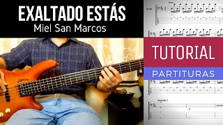 EXALTADO ESTÁS  MIEL SAN MARCOS  BAJO TUTORIAL  TABS Y PARTITURAS [upl. by Amye]