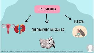 Influencia del uso de anticonceptivos orales en la ganancia de masa muscular en mujeres [upl. by Nylireg]