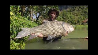 CARP FISHING 10 X 100LB PLUS Monster Carp Giant Catch Ali Humidi Gillhams Thailand [upl. by Diskin347]