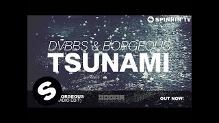 DVBBS amp Borgeous  Tsunami Radio Edit [upl. by Hanikehs]