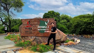 Discover How Aravalli Mountains in Sohna Transformed into Stunning Dedicated Corridor [upl. by Artek]