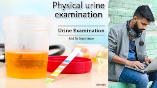 Physical Urine Examination in hindi Technicianstudy [upl. by Camala132]