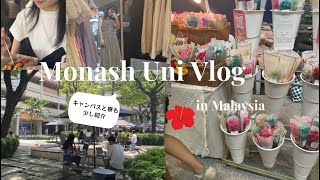 【マレーシア留学】A Japanese student in Monash University Malaysia Monash大学でのゆるVlog [upl. by Yarvis]