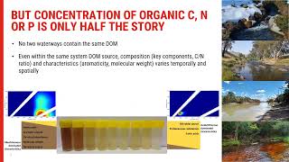 Role of dissolved organic matter in freshwater ecosystems [upl. by Neyrb]