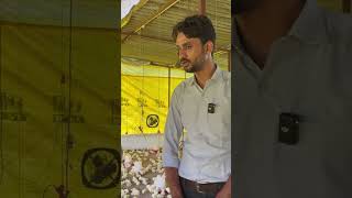 Contract Poultry Farming से कमाओ 50 हज़ार हर महीने business agribusiness poultryfarming [upl. by Zoba]